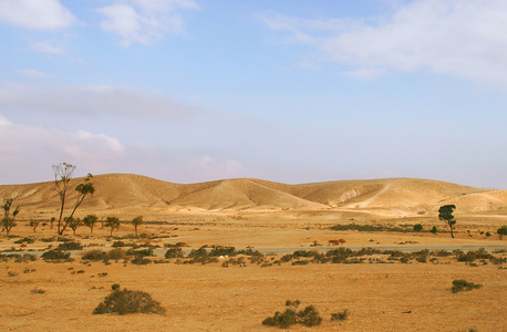 在以色列内盖夫沙漠