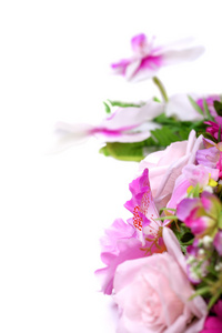 白色与紫色兰花和装饰枫叶上孤立的白