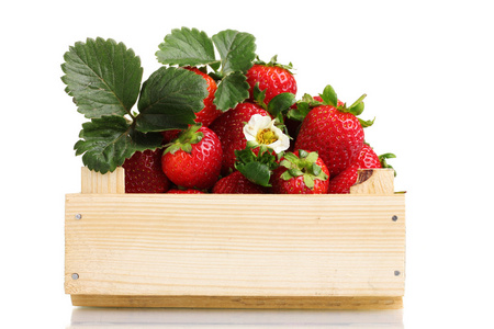 草莓叶片的木箱上白色隔离
