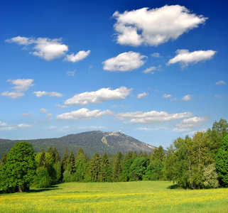 春天风景在巴伐利亚森林国家公园