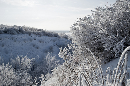 冬季公园在雪中