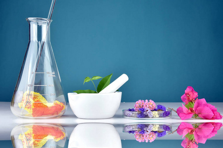 天然草本有机药物研究和实验室玻璃器皿, 化学家和植物提取物在灰浆, 自然医学发现在科学实验室