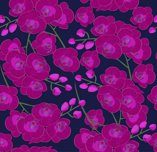 图案鲜艳的兰花花矢量插图. 股票矢量图像的美丽粉红色的兰花花。明亮的背景