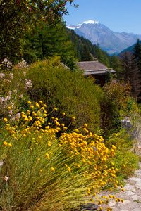 高山花园, champex, 瓦莱州, 瑞士