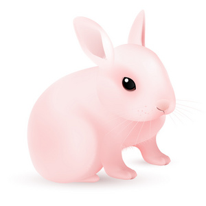 粉红色的复活节兔子照片