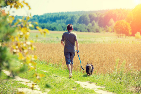 夏天, 一个人带着一条拴着狗的皮带沿着燕麦场沿路奔跑。