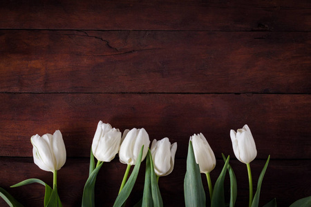 白色的郁金香在一个黑暗的木质背景。春天的概念