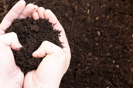 人农夫拿着土壤。地球日与生态观