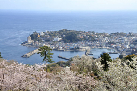 樱花和 Inadori, 伊豆, 静冈, 日本的景观