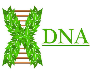 Dna 标志, 医学中心, 生物技术