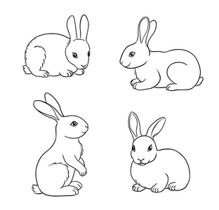 轮廓矢量图中的兔子集