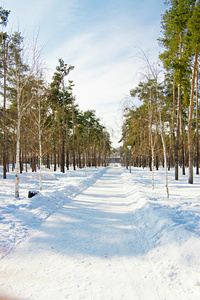 冬季风景与雪