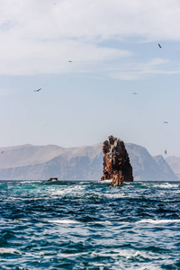 帕拉卡斯群岛秘鲁半岛图片
