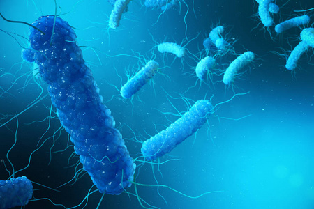 3d 插图 Enterobacterias。革兰 negativas Proteobacteria, 细菌如沙门氏菌, 大肠杆菌