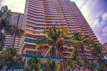 高大的摩天大楼, 人行道和美丽的棕榈树。棕榈树种植沿道路, 热带