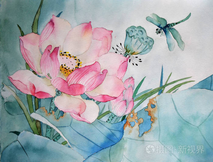 莲花,蜻蜓水生植物原水彩画