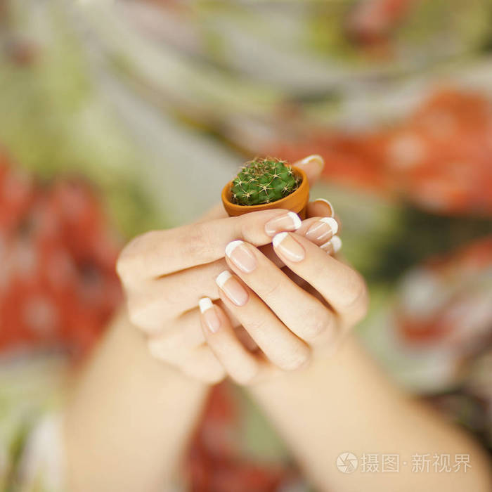 女人手捧着一只小仙人掌, 感性工作室的镜头可以用作背景