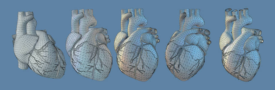 3d. 人的心插图在不同的看法