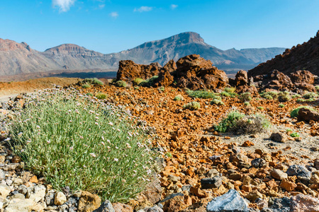 Teide 火山, 特内里费岛, 加那利群岛景观景观