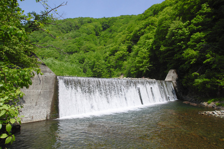 白神山地