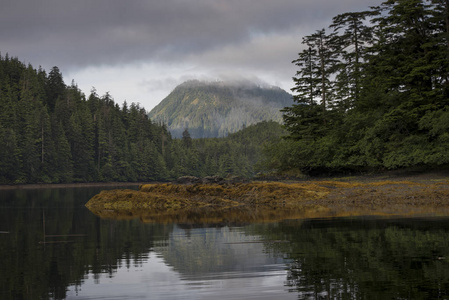 树木在水上的反射, 斯基纳夏洛特区域区, 海达 Gwaii, 格雷厄姆岛, 不列颠哥伦比亚, 加拿大