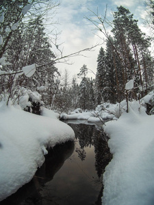 在白雪皑皑的松树林中解冻的小溪。冬季景观