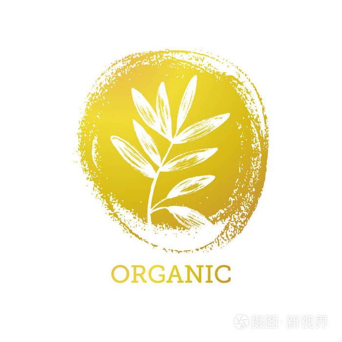 矢量标志设计的油漆背景.简单手绘植物标志