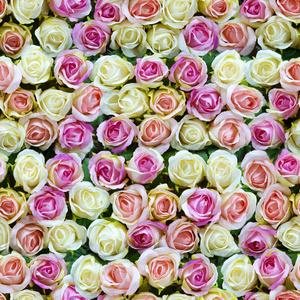 假的白色和粉红色的玫瑰顶部视图无缝背景