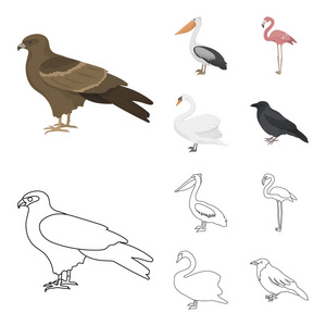 , 鹈鹕, 火烈鸟, 天鹅。鸟类集合图标在卡通, 轮廓风格矢量符号股票插画网站