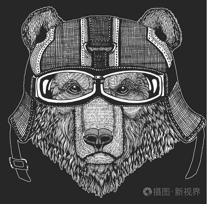 棕色熊俄罗斯熊疯狂骑自行车的 t恤, 会徽, 纹身, 补丁, 标志野生动物