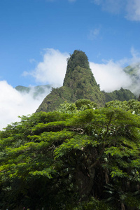 Iao 谷针在茂宜岛