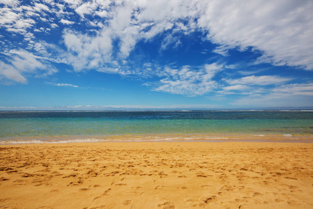 令人惊叹的夏威夷海滩自然风光景观