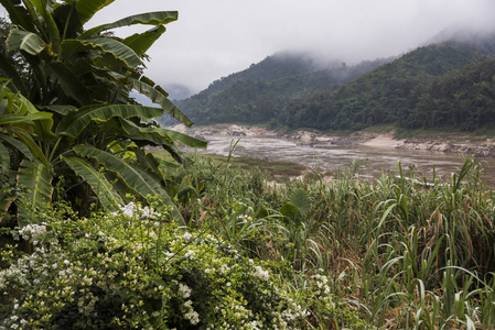 风景秀丽河, 湄公河, 老挝