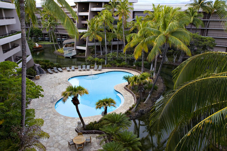度假村酒店有游泳池