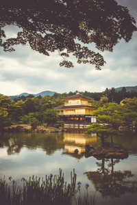 金阁寺金寺，京都，日本