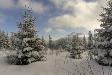 Tatra 山美丽的冬季风光
