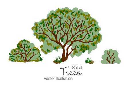 树, 草和灌木的集合