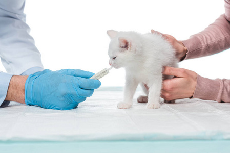 在白色背景下被隔离的小猫的注射器和女兽医裁剪图像