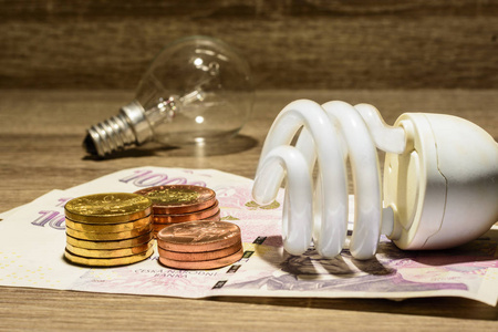 欧洲生态管灯泡放在捷克货币