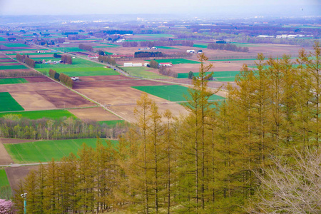 北海道十胜景观