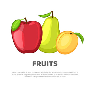 杏, 苹果和梨。一组水果。卡通风格。矢量插图