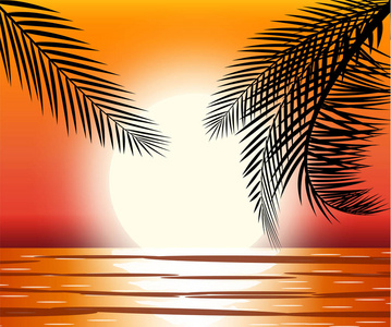 海滩棕榈树剪影