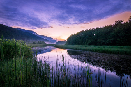 清晨浓雾的河水, 美丽的自然背景