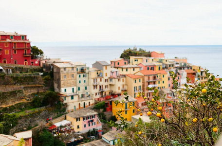 Manarola 村, 五渔村, 意大利五颜六色的房子的风景景观