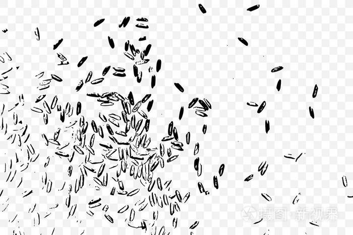 插画 茉莉米在透明的背景下, 糙米和在餐桌上的混合大米.