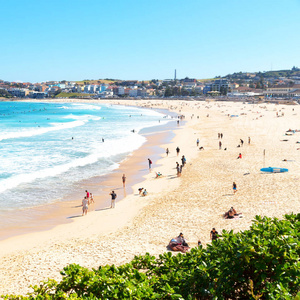 在澳大利亚的人在 bondie 海滩和度假村附近的海洋