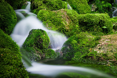 新鲜的绿色青苔的石头上，长时间曝光软水寻找山溪叶栅