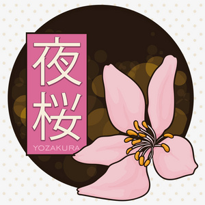 用于 Yozakura 或夜间赏花的樱按钮, 矢量插图