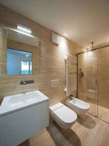 现代浴室用轻的大理石 i