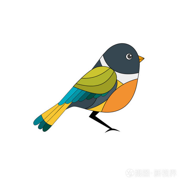 七彩鸟